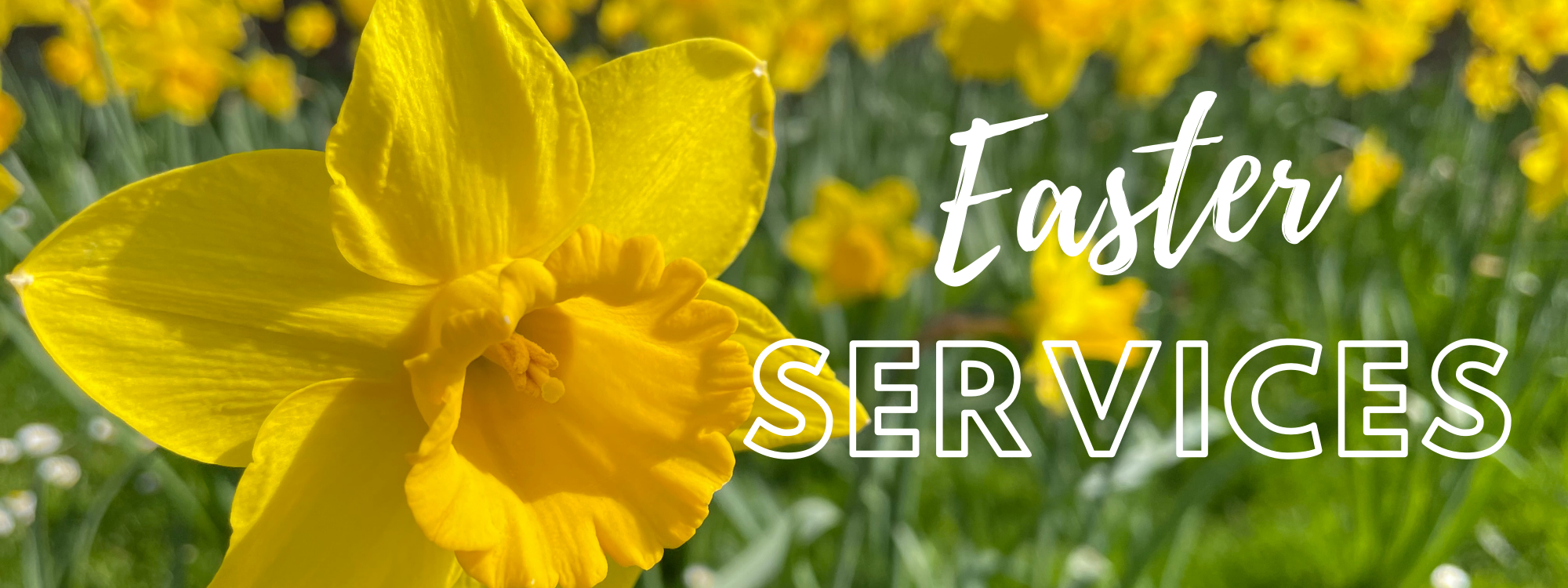 Easter Services Banner